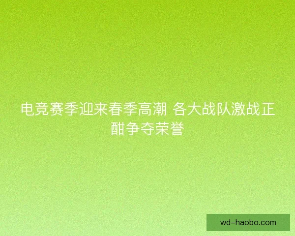 电竞赛季迎来春季高潮 各大战队激战正酣争夺荣誉