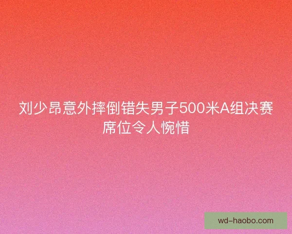 刘少昂意外摔倒错失男子500米A组决赛席位令人惋惜 刘少昂意外摔倒错失男子500米A组决赛席位令人惋惜