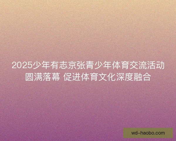 2025少年有志京张青少年体育交流活动圆满落幕 促进体育文化深度融合 2025少年有志京张青少年体育交流活动圆满落幕 促进体育文化深度融合